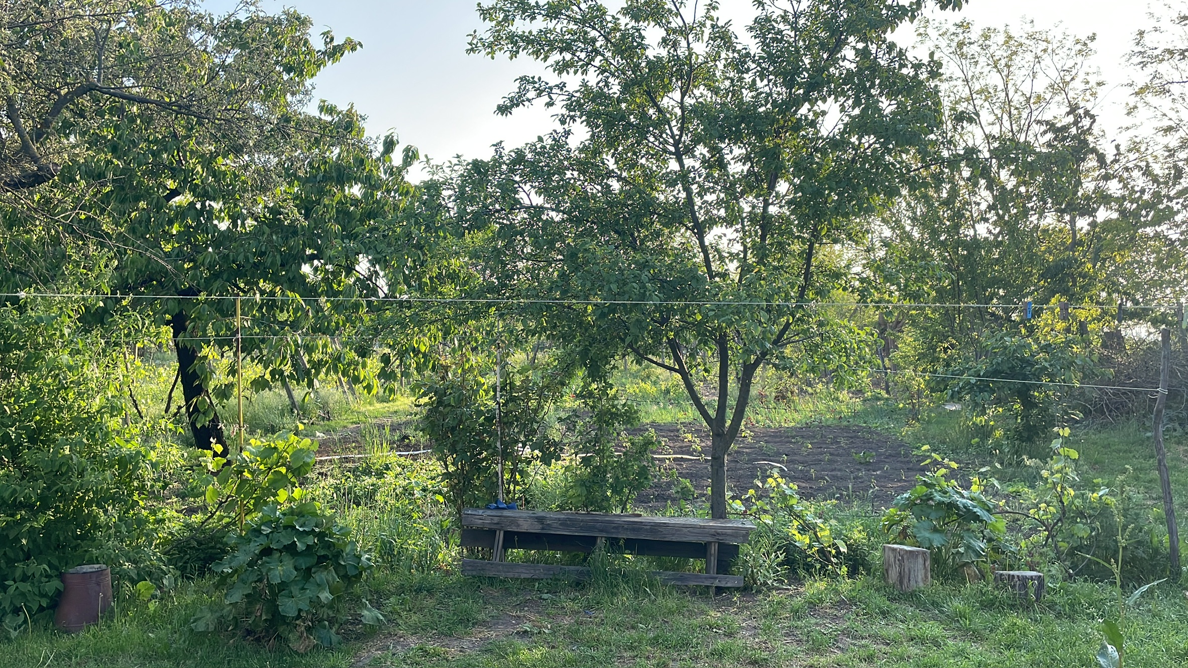 countryside bench